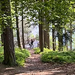 Lipno Pearl Vyhlidka